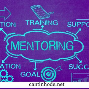 Mentoring in Power Apps - Cantinhode.net